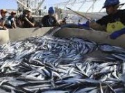 钦州海洋休闲渔业发展战略探析